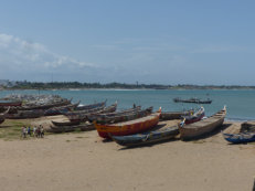 Elmina