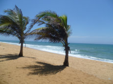 Strand in Lomé