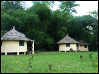 Ecotel Touraco, Taï-Nationalpark