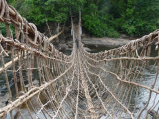 Lianenbrücke bei Danane