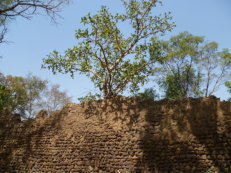 Ruinen von Loropeni, UNESCO Weltkulturerbe