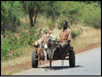 unterwegs bei Gaoua