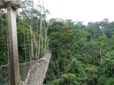 Kakum Nationalpark