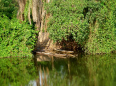 Bootsfahrt auf dem Sassandra-Fluss