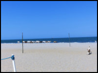 Kuhherde am Strand von Banjul