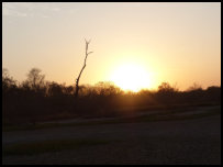 Sonnenuntergang im Kiang West Nationalpark