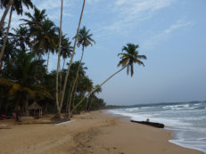 Strand des Ankobra Beach Resorts