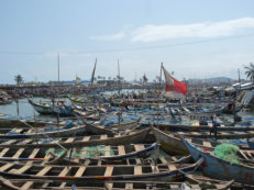 Elmina Hafen