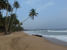 Strand des Ankobra Beach Resorts