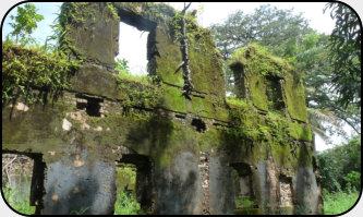 Ruinen des Sklavenforts auf Bunce Island