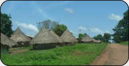 Malinké-Dorf in Guinea