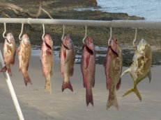 Fischfang auf Rubane, Bijagos Inseln