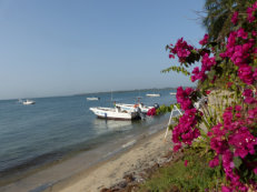 Strand auf Rubane, Bijagos Inseln