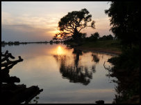 Sonnenuntergang am Niger