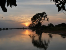 Sonnenuntergang am Niger