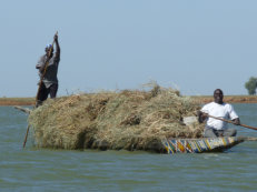 auf dem Niger