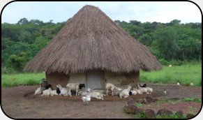 in den Wara Wara Mountains