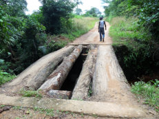 abenteuerliche Brücke auf dem Weg nach Tiwai Island