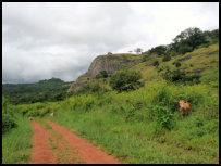 in den Wara Wara Mountains