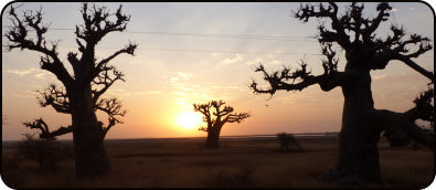 Sonnenaufgang im Sine Saloum