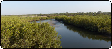 Im Naturreservat Makasutu