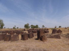 Steinkreise in Sine Ngayène