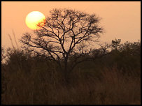 Sonnenuntergang im Pendjari-Nationalpark, Benin