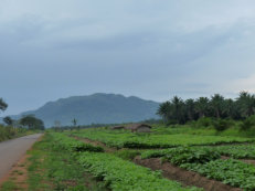 Mont Agou, höchster Berg von Togo