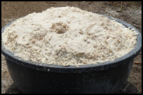 Production of Gari local food in Togo