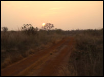Sunset in Pendjari National Park, Benin