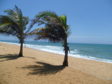 beach in Lomé
