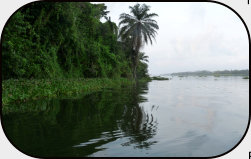 the Bandama river - one of the largest rivers of the country