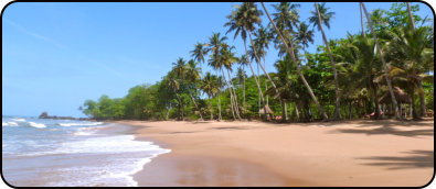 pristine beach of Ankobra Beach Resort