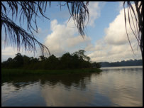On the banks of Bandama River, Ivory Coast