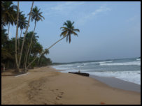 pristine beach at Ankobra Beach Resort