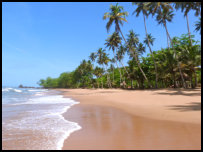 Pristine beach of Ankobra Beach Resort