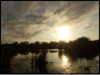 Sunset near Nzulezo