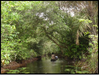 Boat trip to the stilt village of Nzulezo