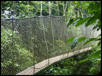 Canopy Walkway, Kakum National Park