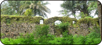 Ruinen auf Bunce Island