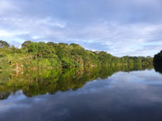 boat ride on Moa River