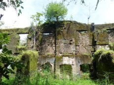 ruins of the slave fortress on Bunce Island