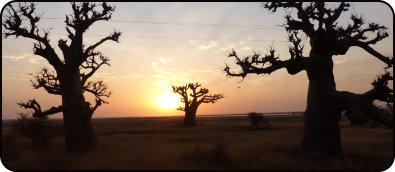 Sunrise in Sine-Saloum