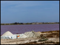 the Pink Lake in Senegal