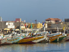 fishing port in Saint Louis