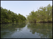 in the Sine Saloum Delta