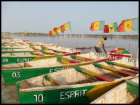 Boats on the Pink Lake