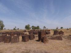 stone circles in Sine Ngayène