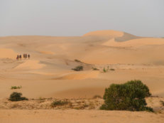 in the Lompoul desert