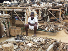 Fetish market in Lomé